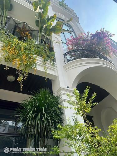 IMG_1740982500479_1740987272230