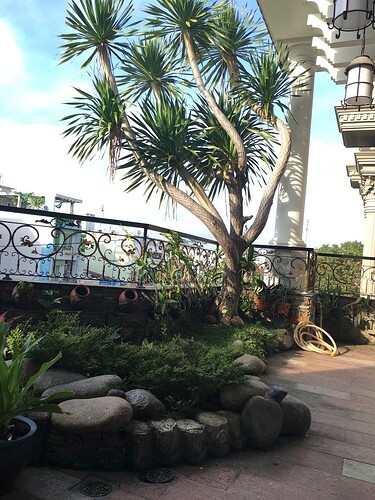 IMG_1751699474300_1751700044003