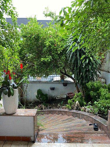 IMG_1754019392269_1754021016294