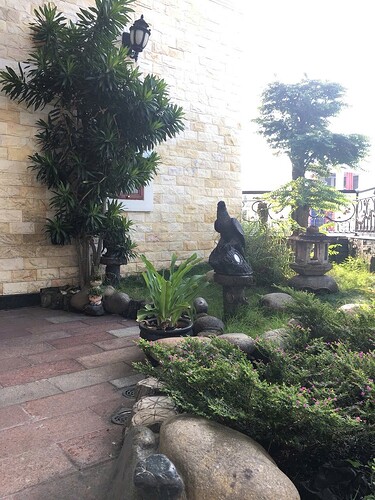 IMG_1751699474314_1751700044095