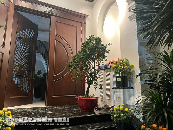 IMG_1740982500481_1740987272439