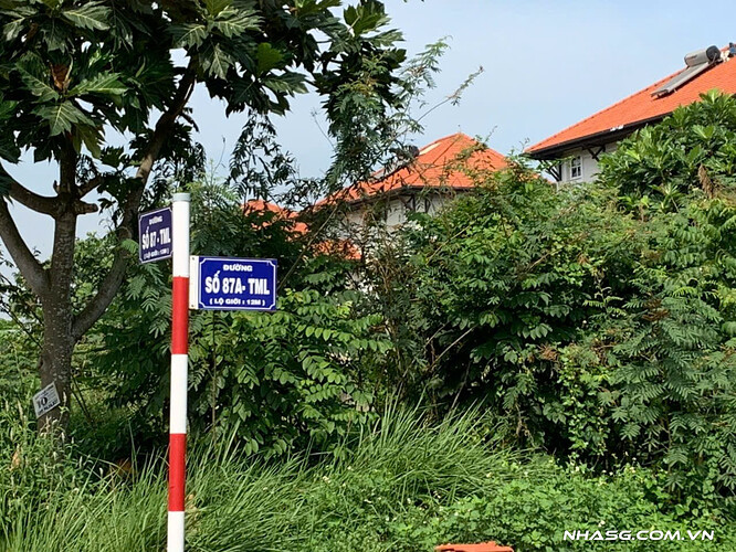 IMG_1740121393352_1753974077296