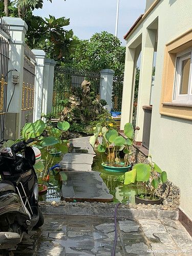 IMG_1740121393327_1753974077040