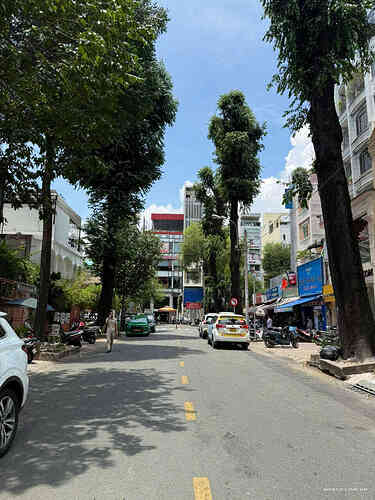 Bán tòa nhà đường Trần Quốc Thảo TPHCM  (2)