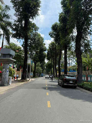 Bán tòa nhà đường Trần Quốc Thảo TPHCM  (3)